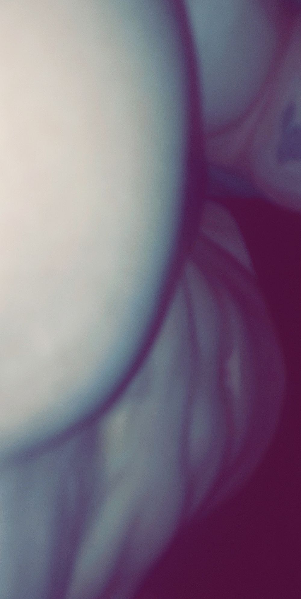 alexxx.b99 OnlyFans profile picture