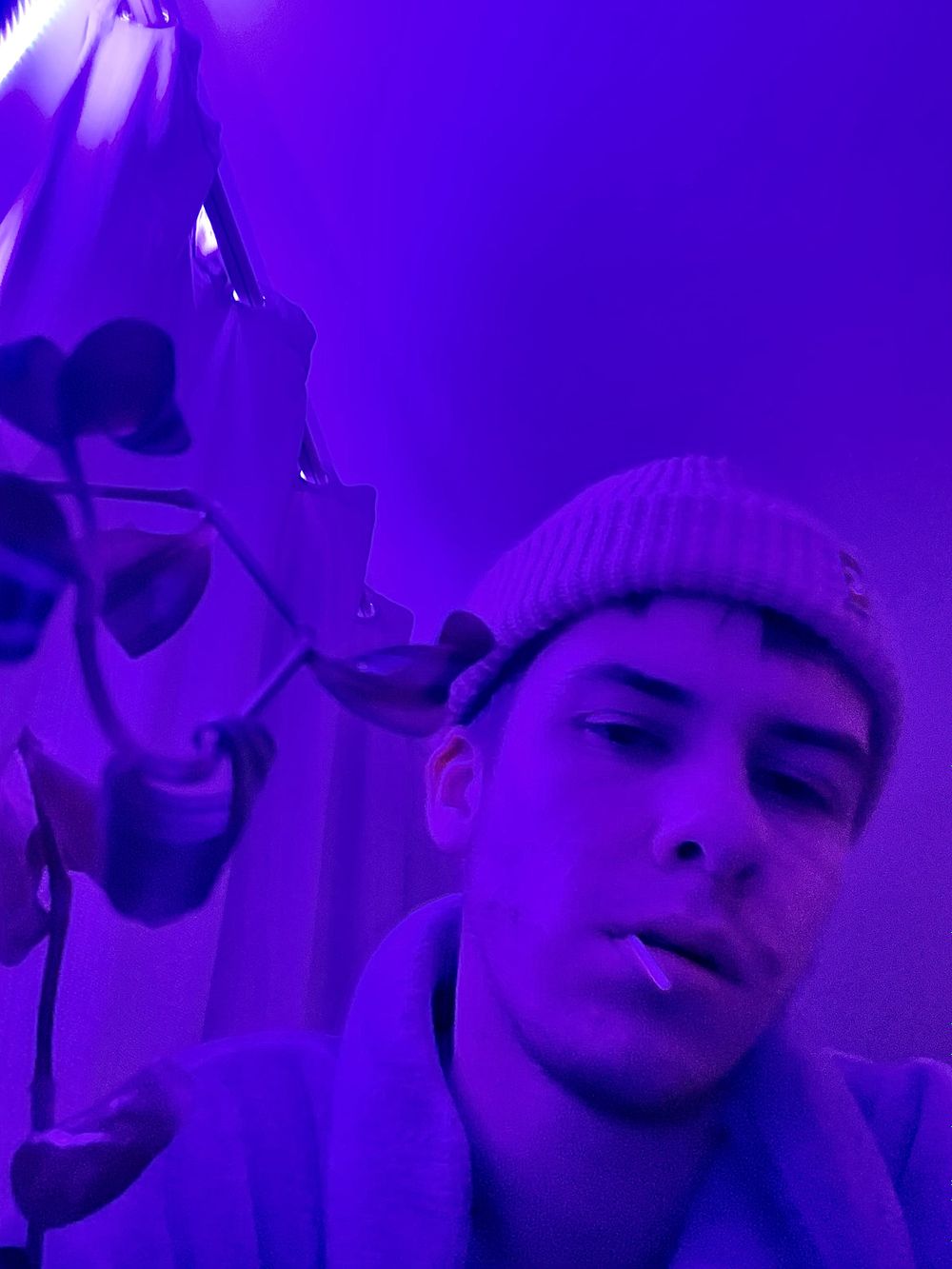 friedfeet OnlyFans profile picture