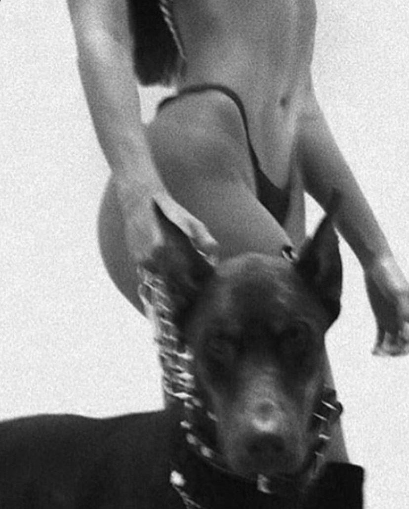 mecca.mess OnlyFans profile picture