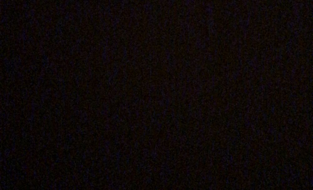 evienna OnlyFans profile picture