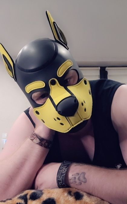 roxthepup OnlyFans picture
