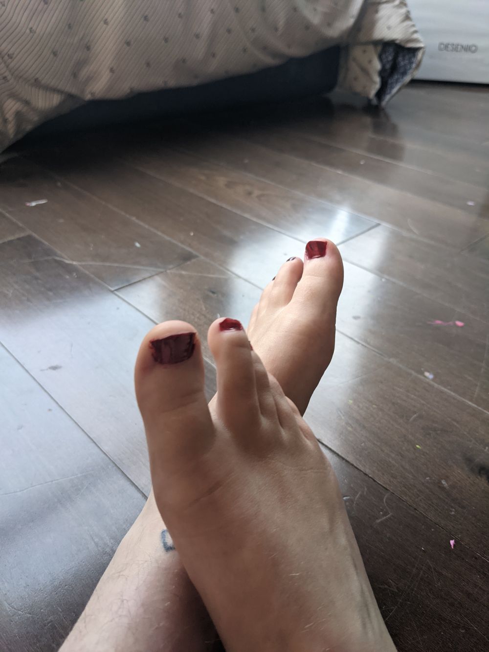 islaangelx OnlyFans profile picture