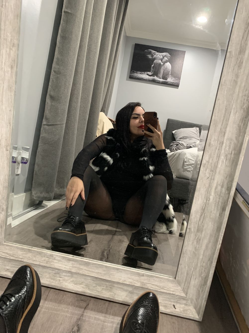 royalfet88 OnlyFans profile picture