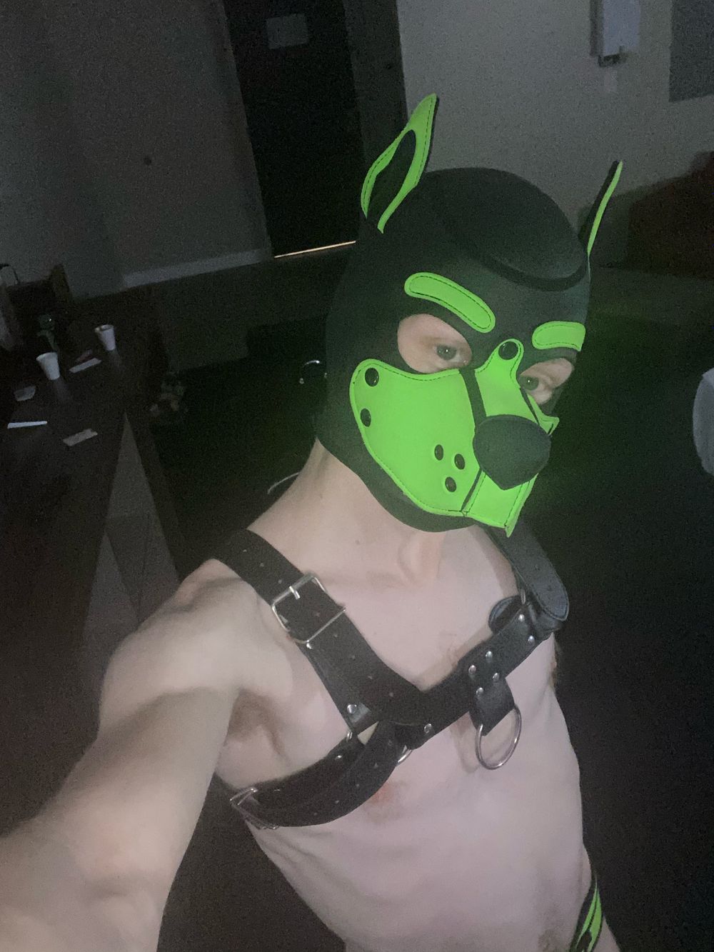 pupej1990 OnlyFans profile picture
