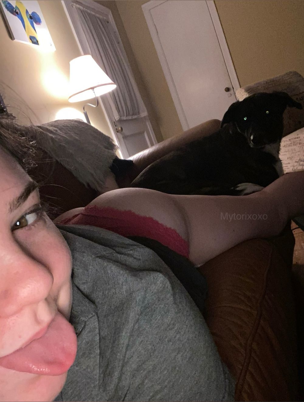 mytorixoxo OnlyFans profile picture