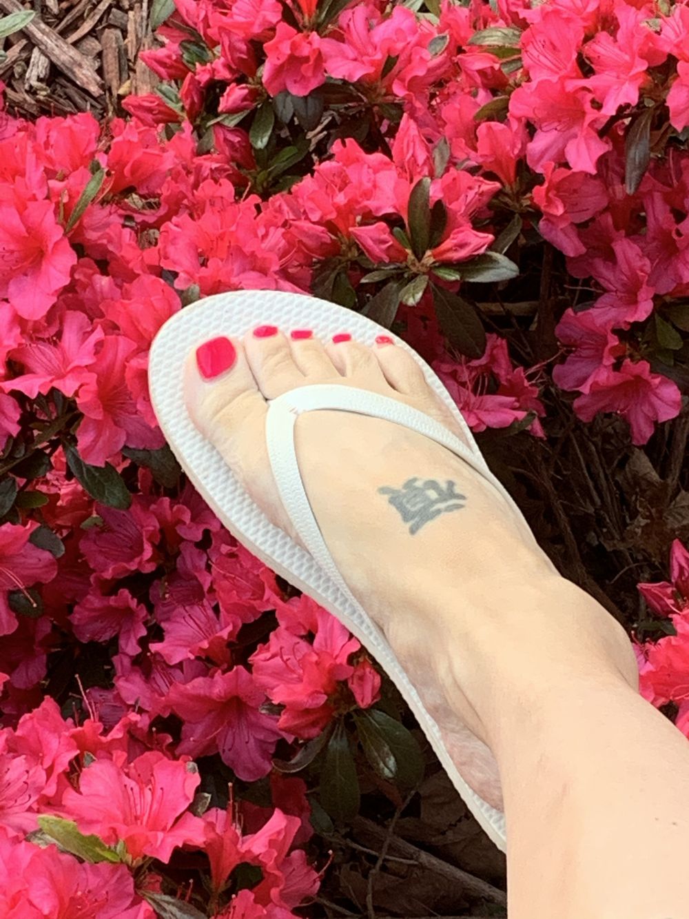 barefootbaily OnlyFans profile picture