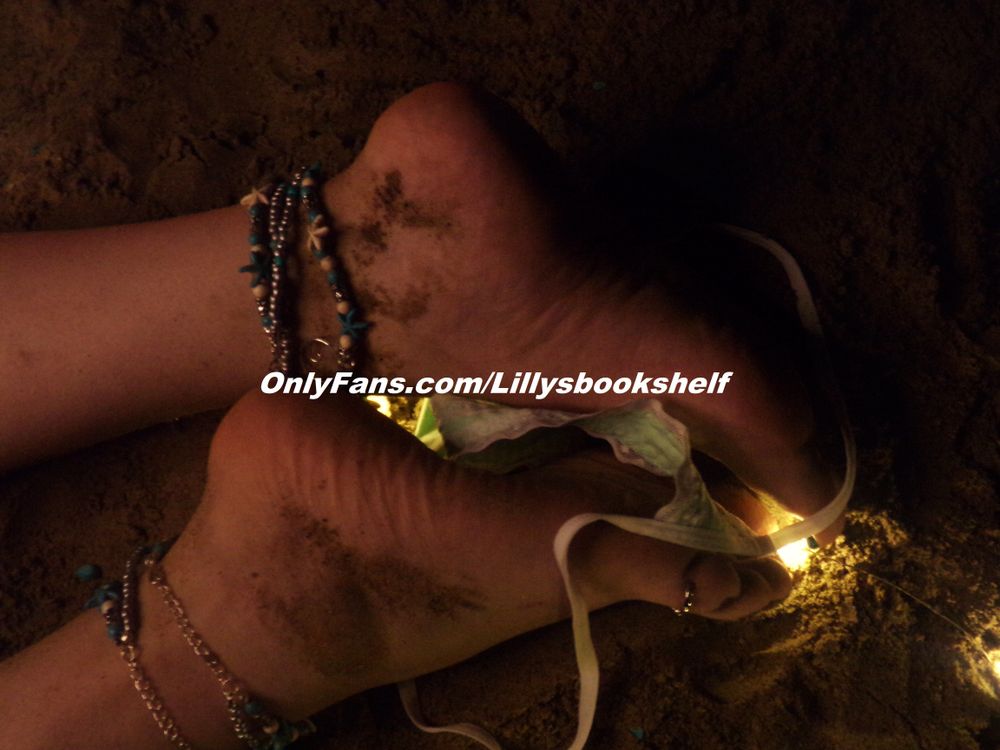 lillysbookshelf OnlyFans profile picture