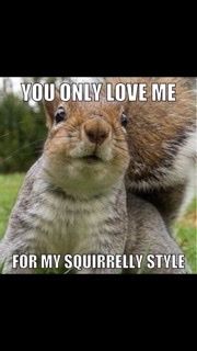 slackersquirrel OnlyFans profile picture