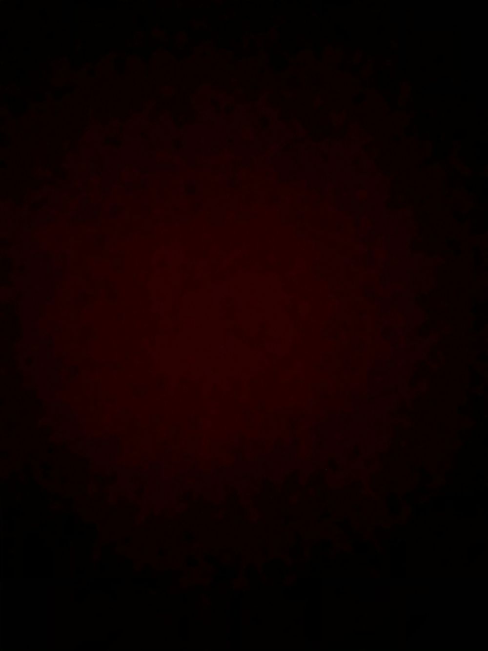 tommycollins OnlyFans profile picture