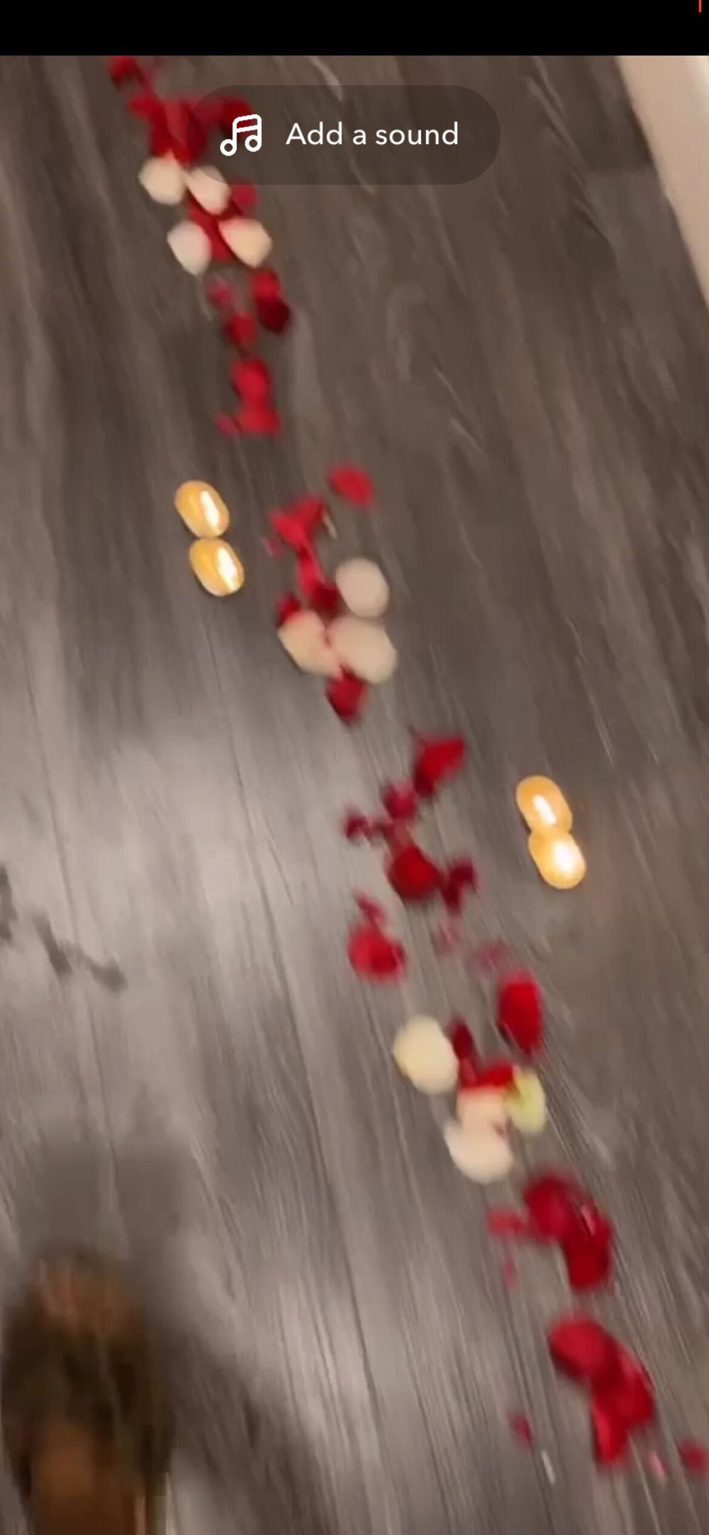 rosseed OnlyFans profile picture