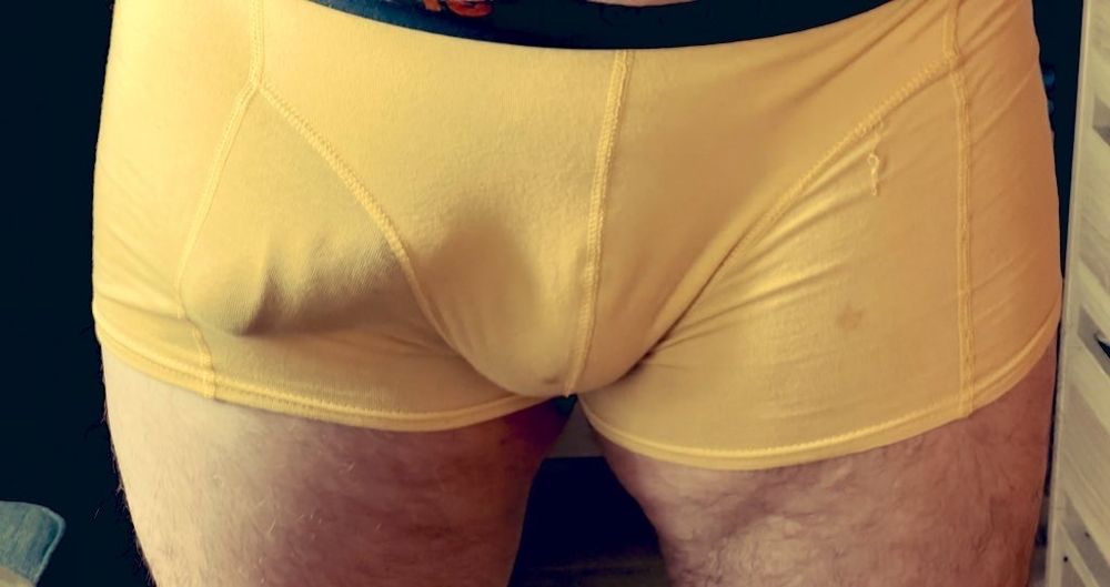 bearaustria OnlyFans profile picture