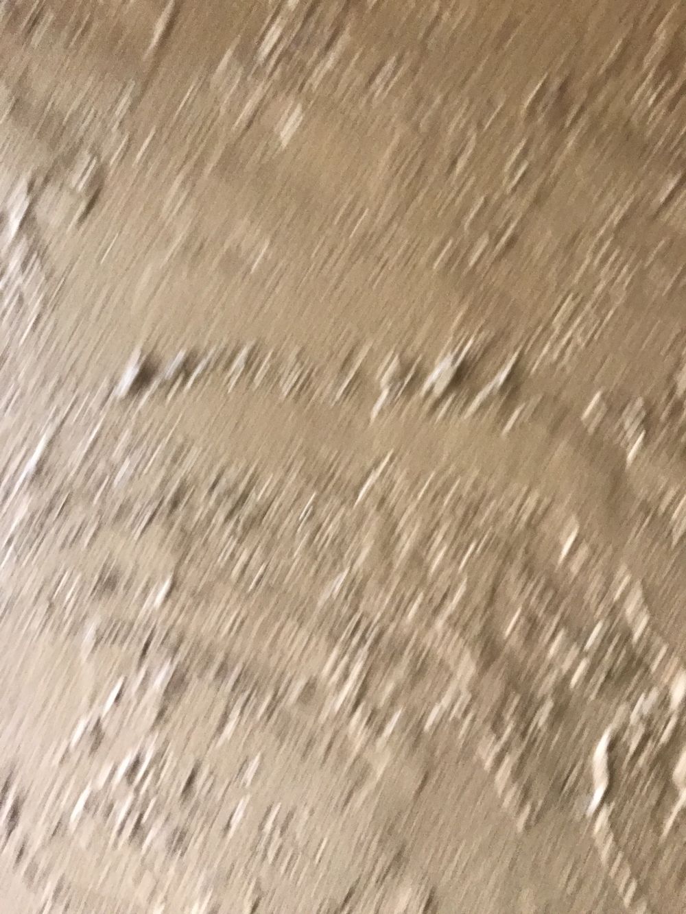 girlhegotacurve OnlyFans profile picture
