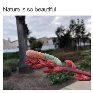 peachilcious OnlyFans profile picture