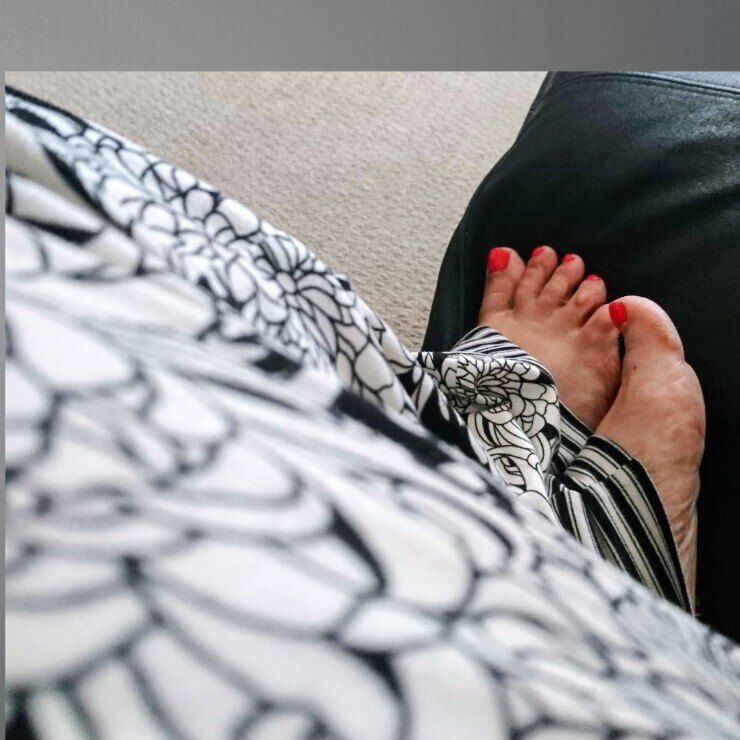 felicitysfeet2026 OnlyFans profile picture