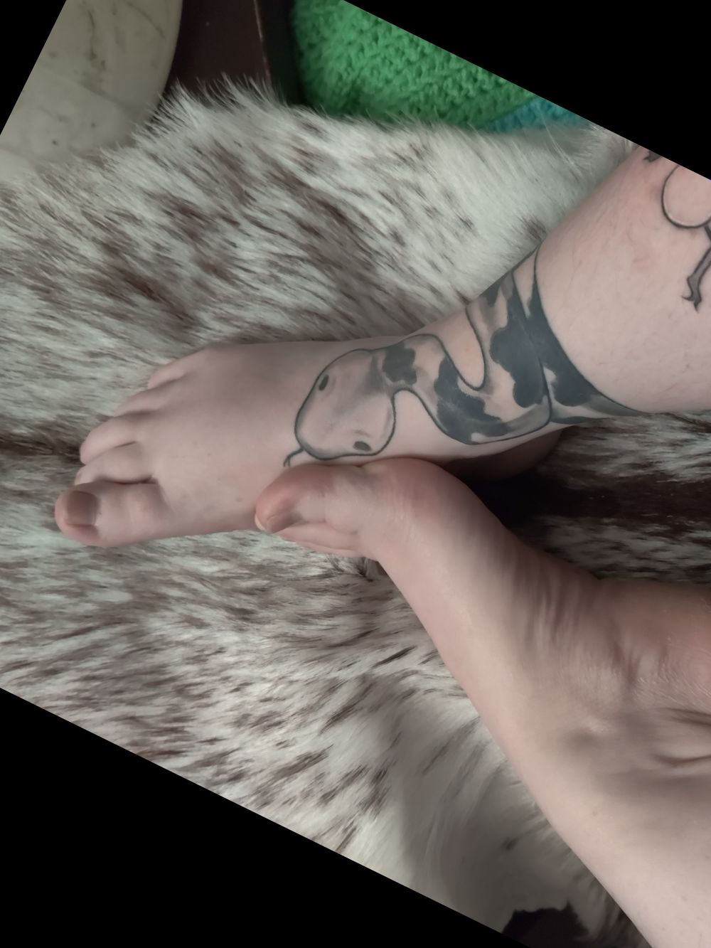 snakefoot69 OnlyFans profile picture