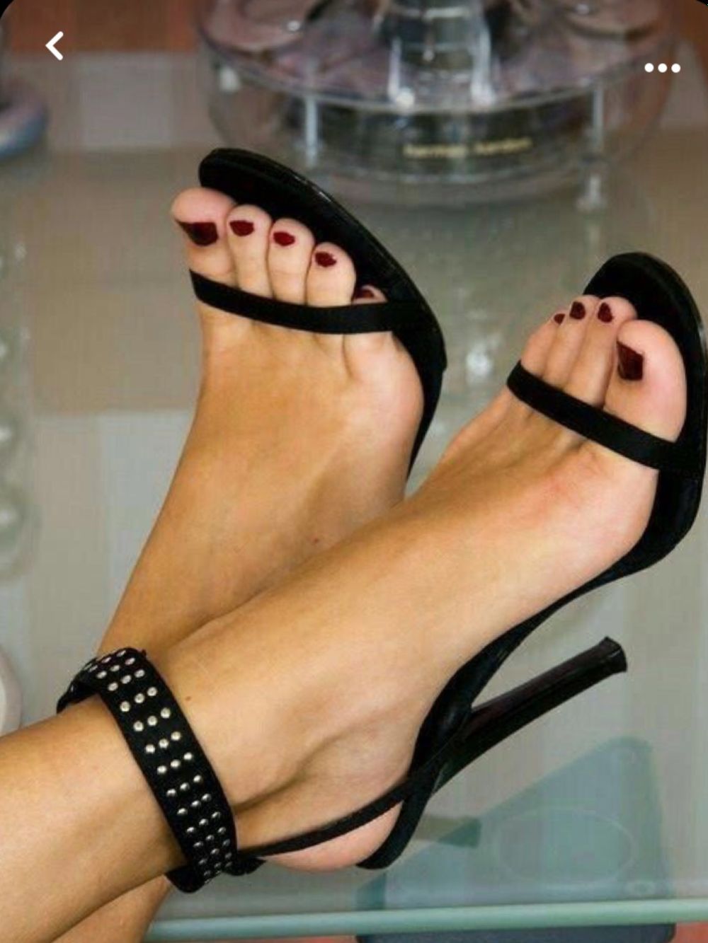 onlyfeetxyz OnlyFans profile picture