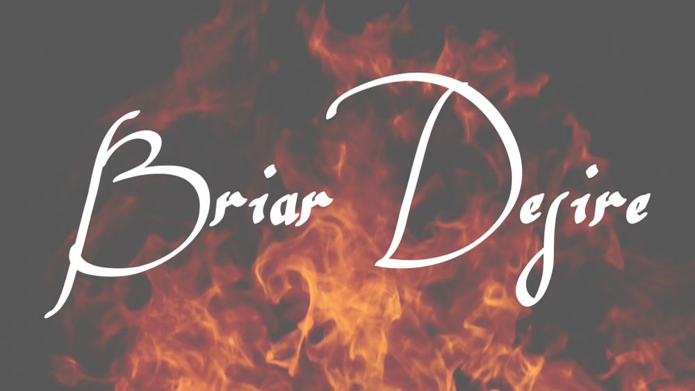 briardesire OnlyFans profile picture