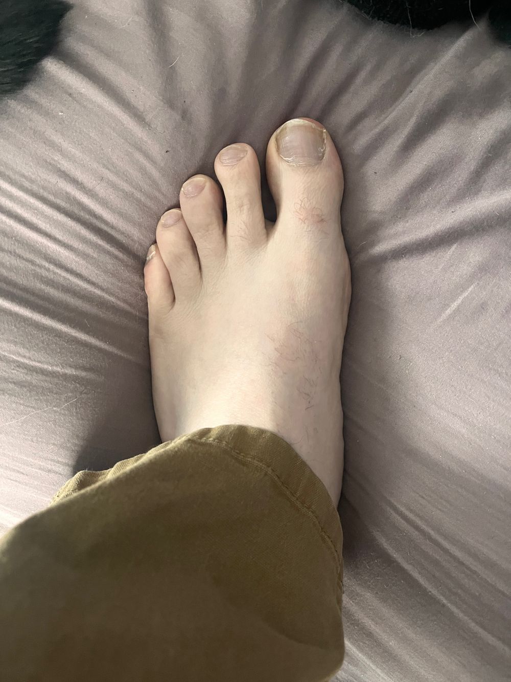mrnobody411 OnlyFans profile picture
