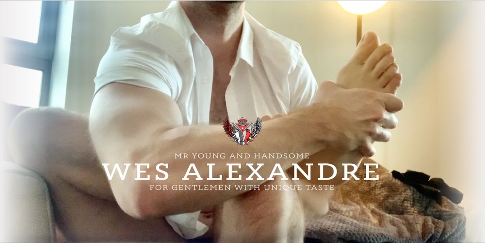 wesalexandre OnlyFans profile picture