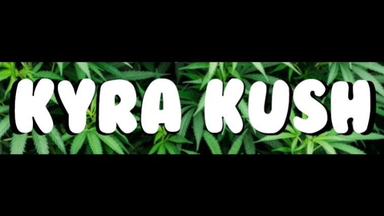 kyrakush22 OnlyFans profile picture