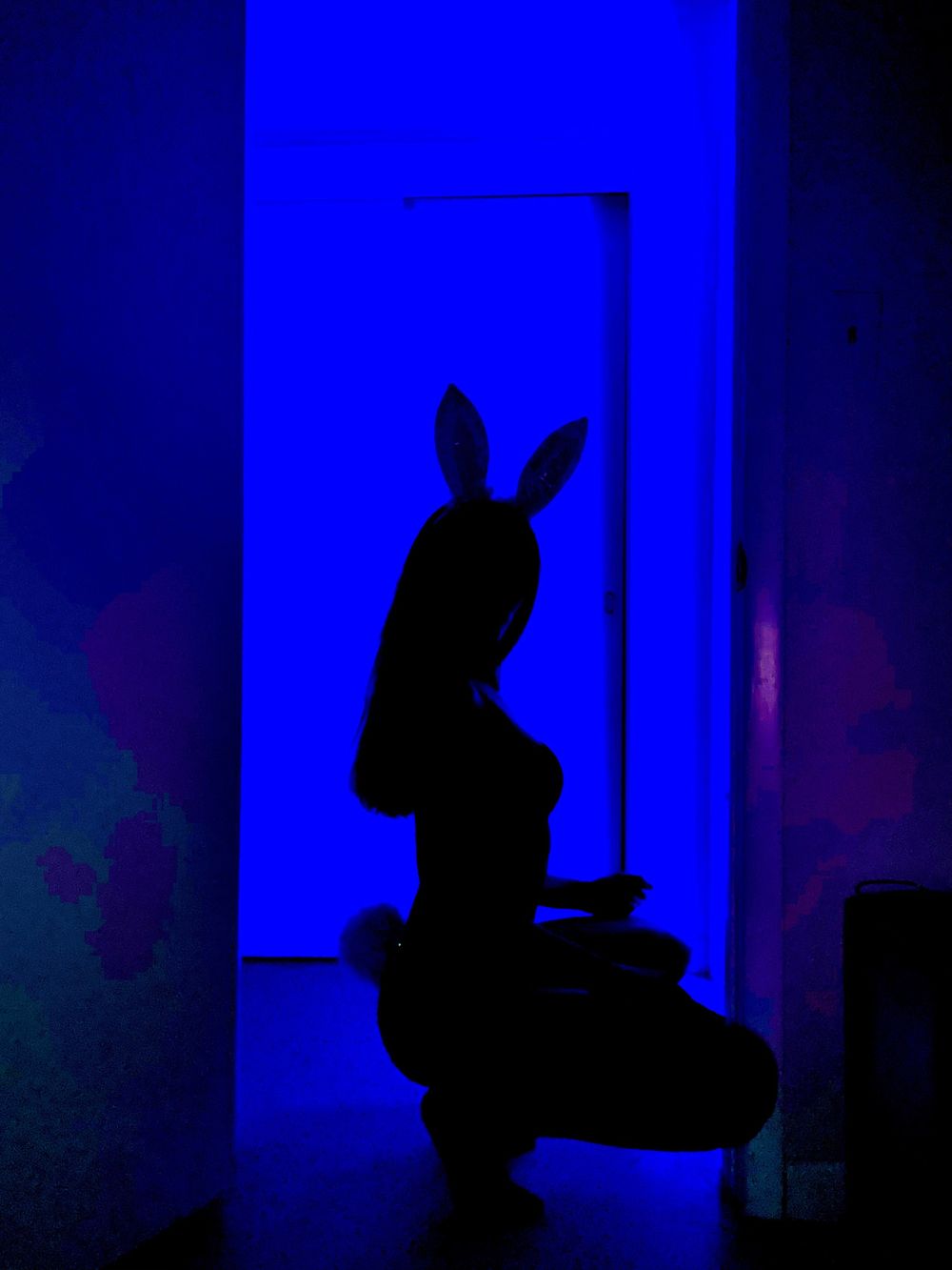 insidesophie OnlyFans profile picture