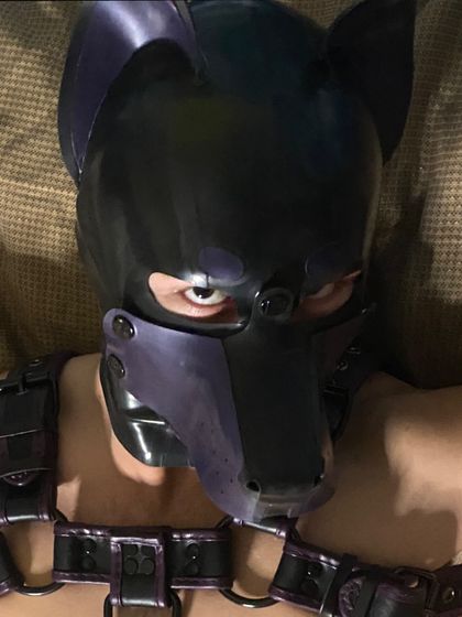 puproyce OnlyFans picture