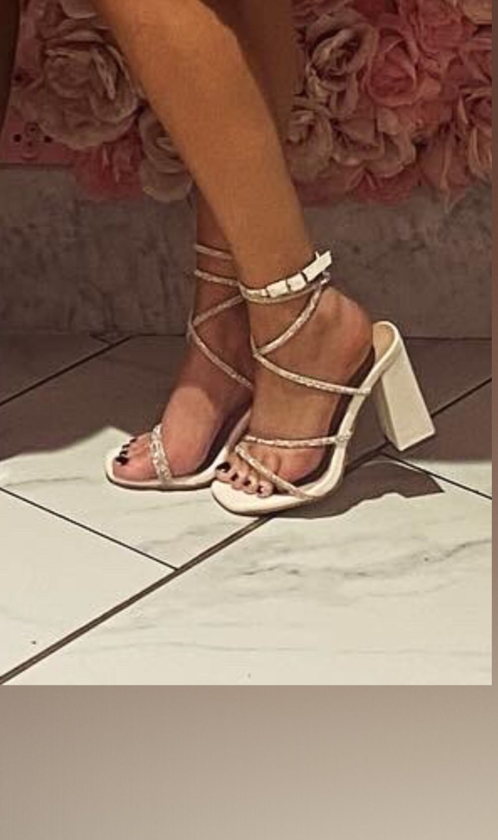 u223962566 OnlyFans profile picture