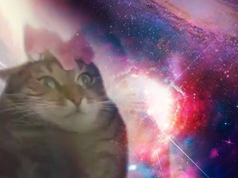 digikitti OnlyFans profile picture