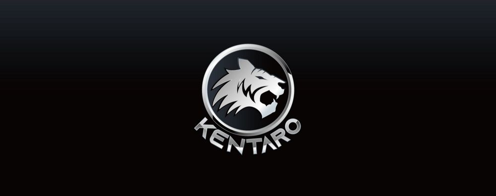 ken1291 OnlyFans profile picture