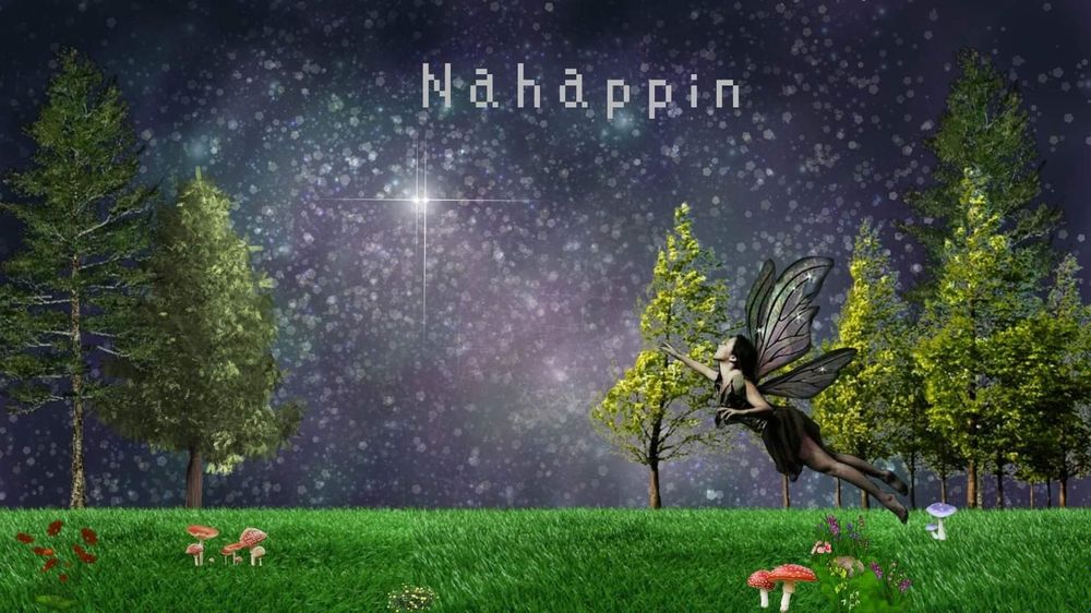 nahappin OnlyFans profile picture