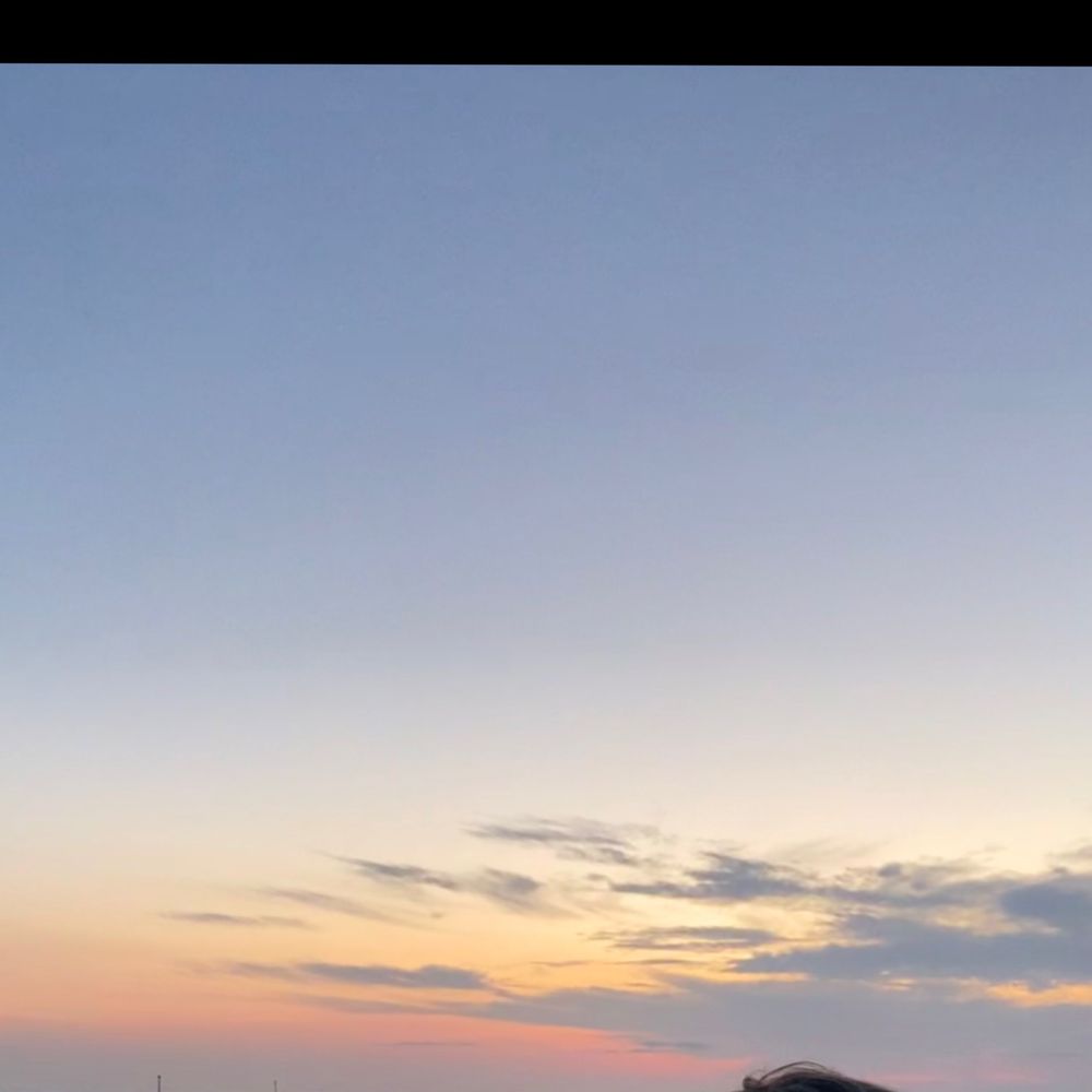 sfghjvcft OnlyFans profile picture