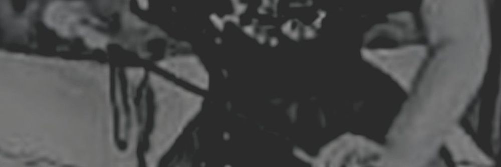 sextrasgressivo OnlyFans profile picture