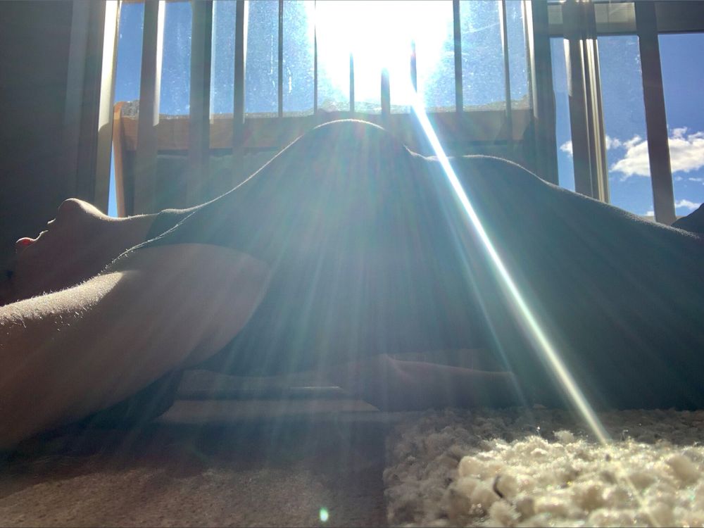 secretlyloveit OnlyFans profile picture