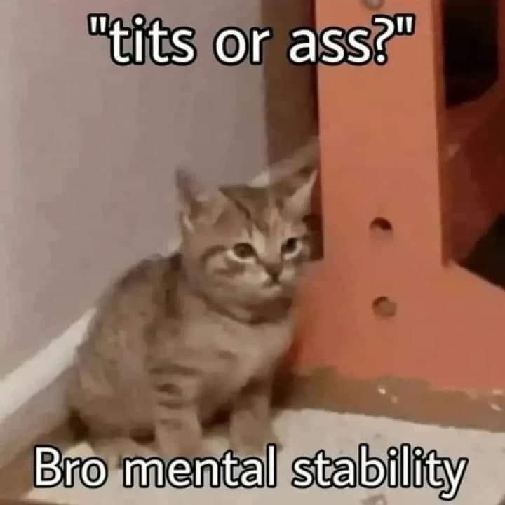 totallynotfine OnlyFans profile picture