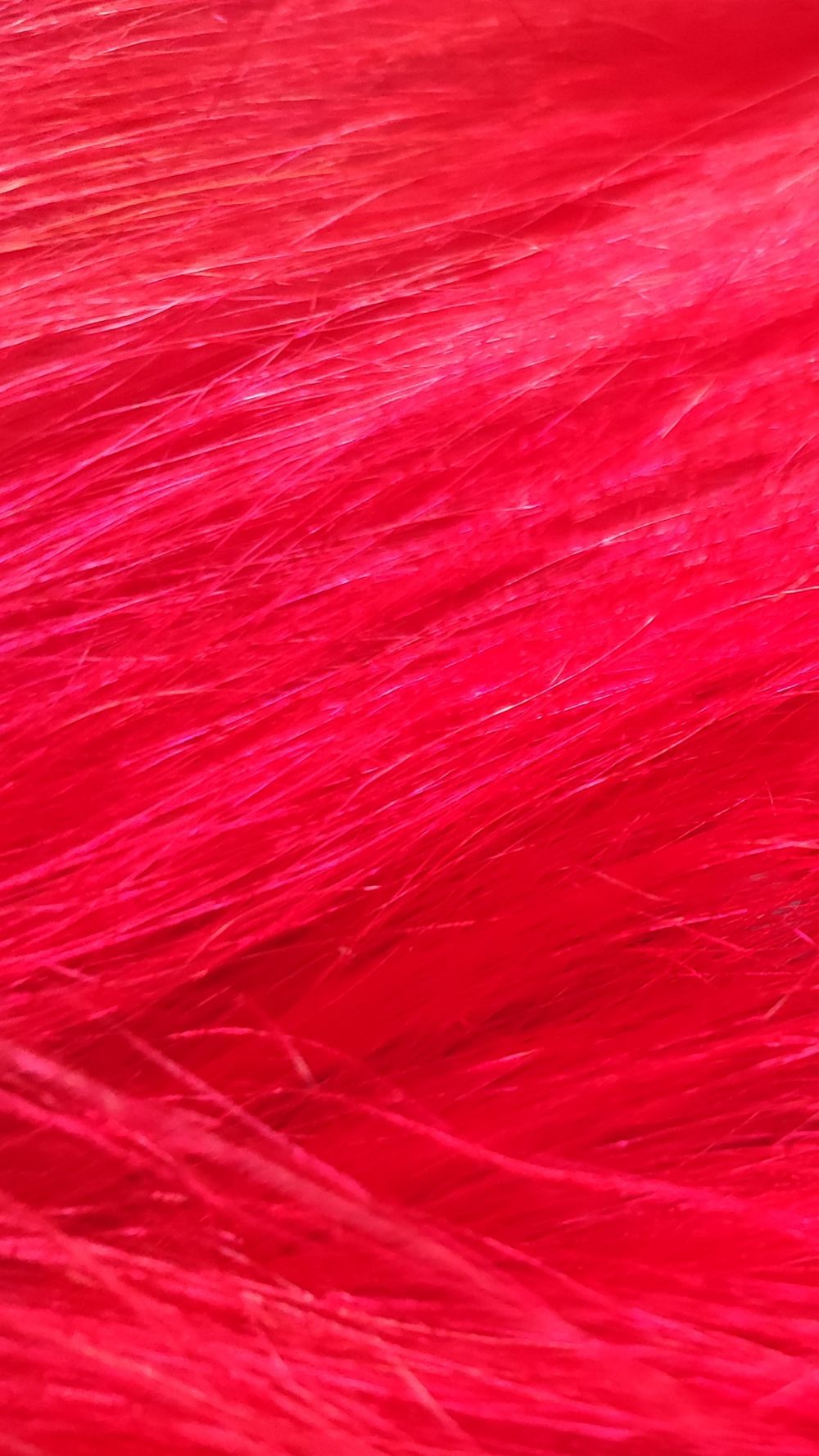 redheadgirlof OnlyFans profile picture