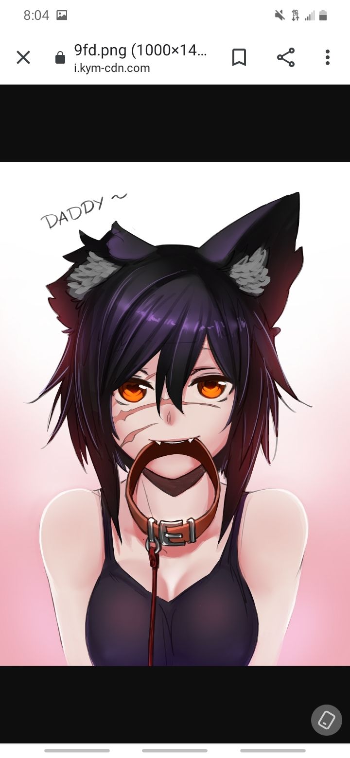 kyttinsplayground OnlyFans profile picture