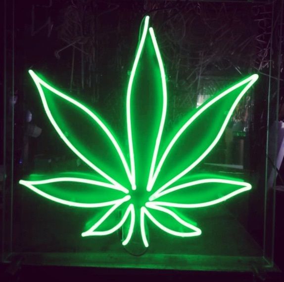 burnedclutch420 OnlyFans profile picture