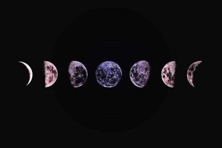 moonchildnycki OnlyFans profile picture