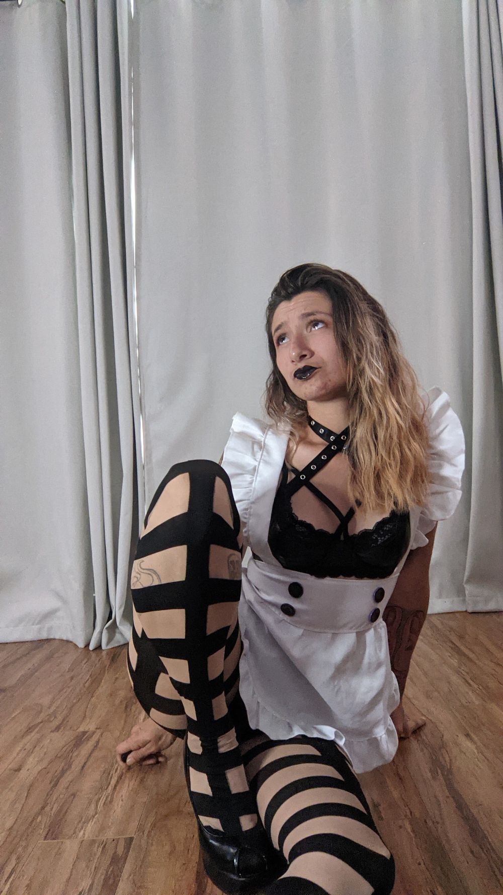 ms.anthropist OnlyFans profile picture