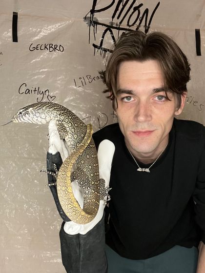 ilooklikedrakebell OnlyFans picture