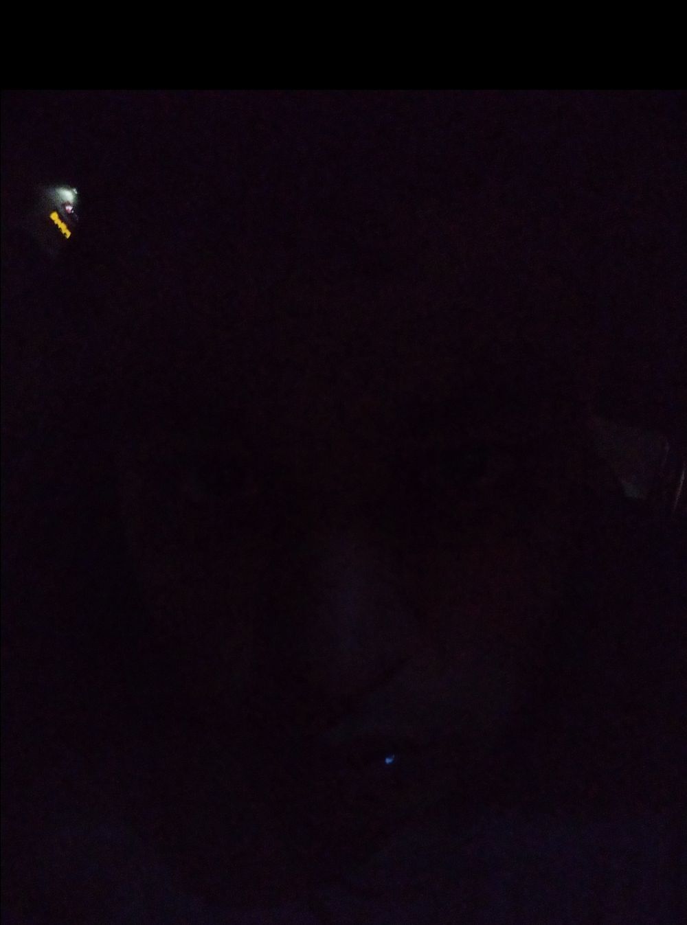 fiankcab OnlyFans profile picture