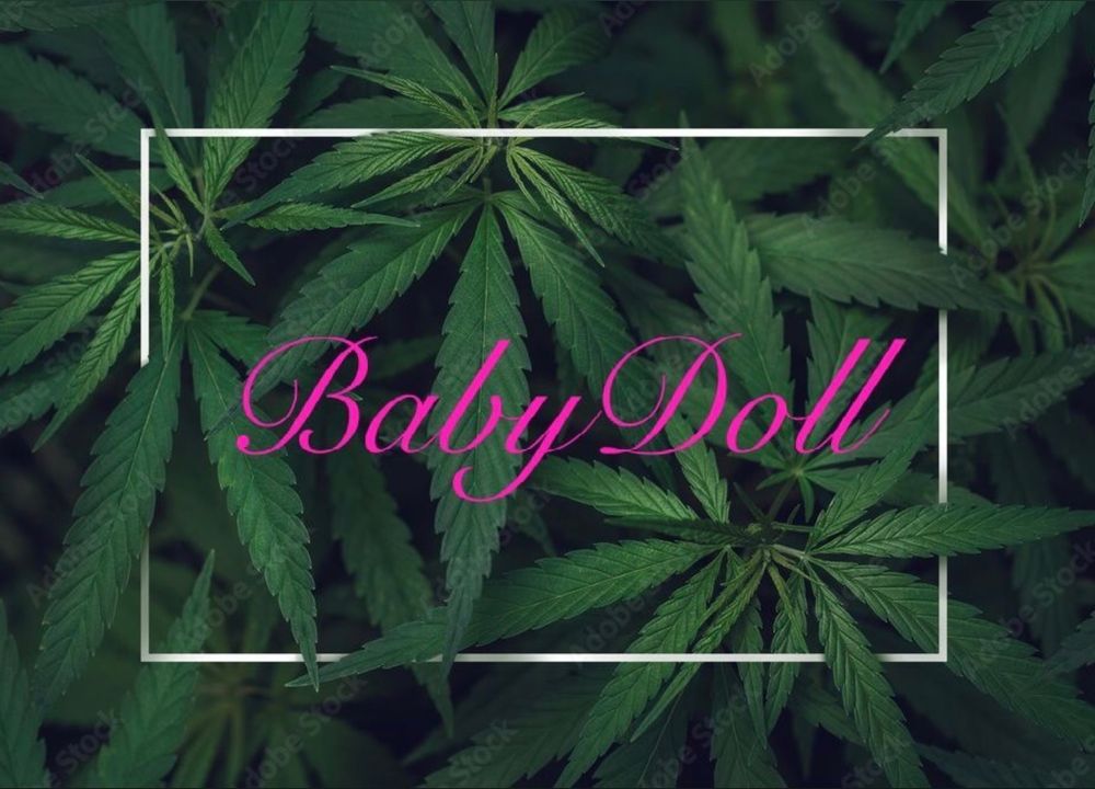itsbabydollxx OnlyFans profile picture