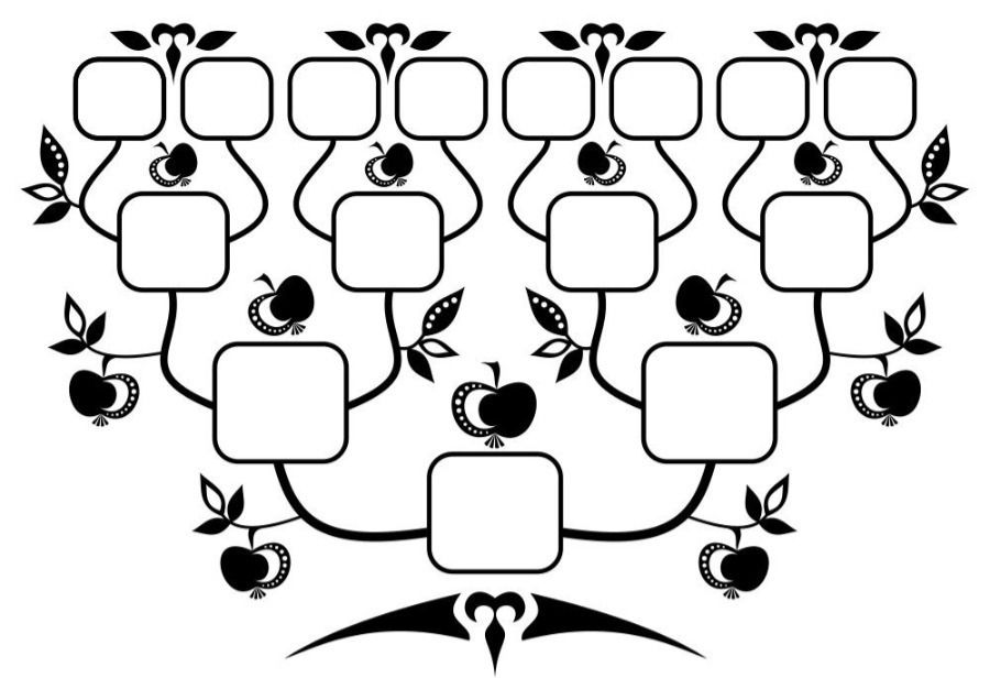 connergenealogy OnlyFans profile picture