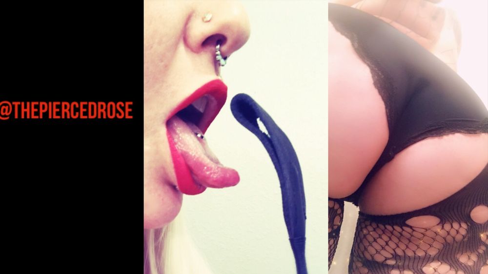 thepiercedrose OnlyFans profile picture