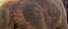 dno2011 OnlyFans profile picture