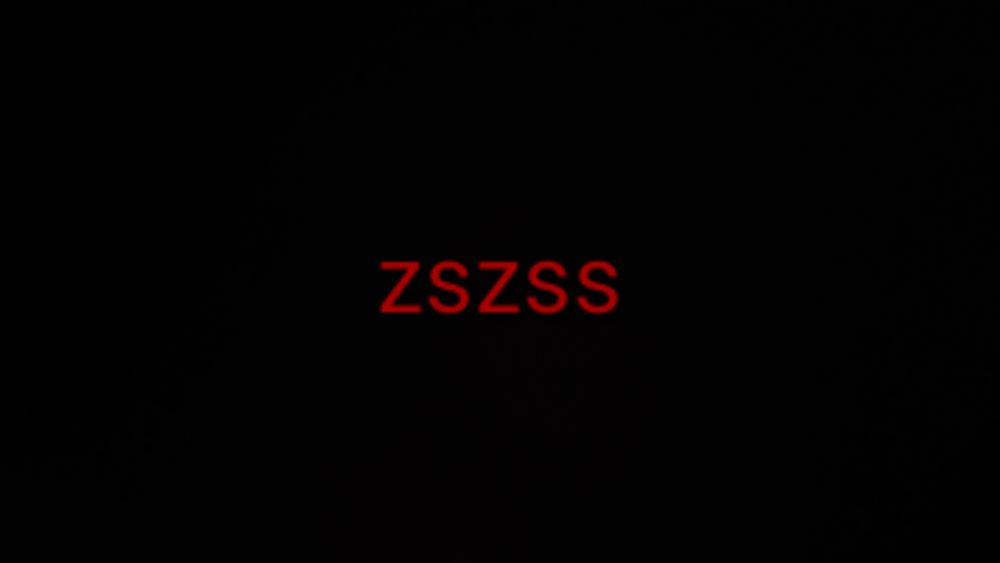 zszss OnlyFans profile picture