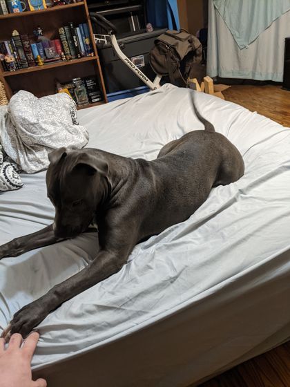 philly3k OnlyFans picture