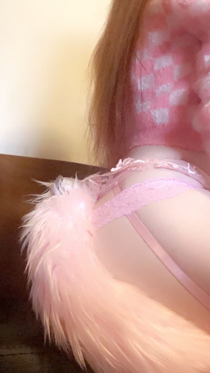 quietpet OnlyFans picture