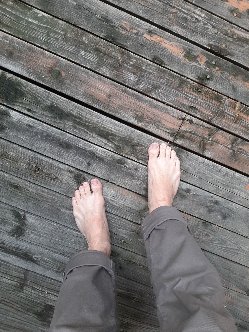 misternicefoot OnlyFans profile picture