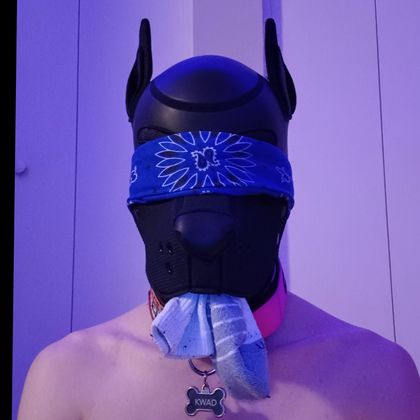 pupkwad OnlyFans picture